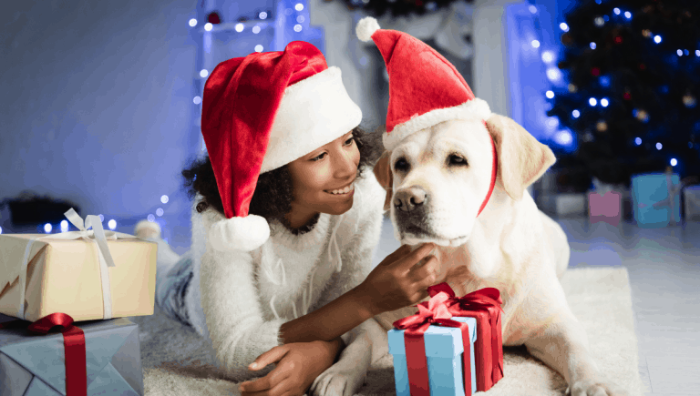 Where to Get Pet Santa Photos in Melbourne