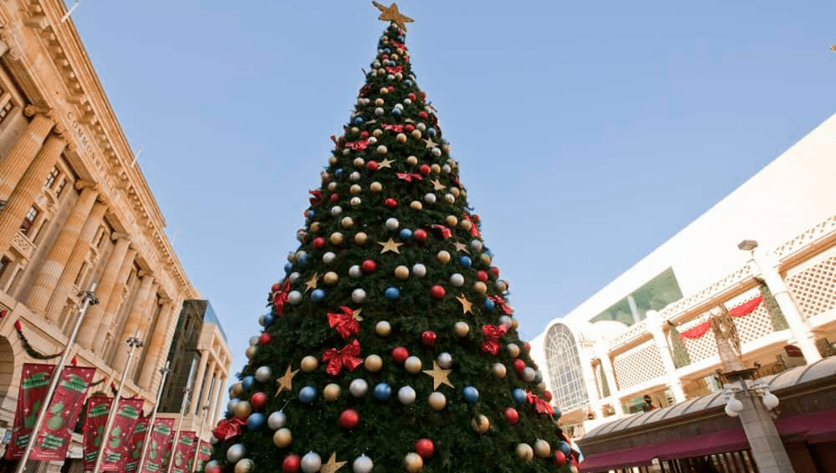 What’s On for Christmas in Perth featured image